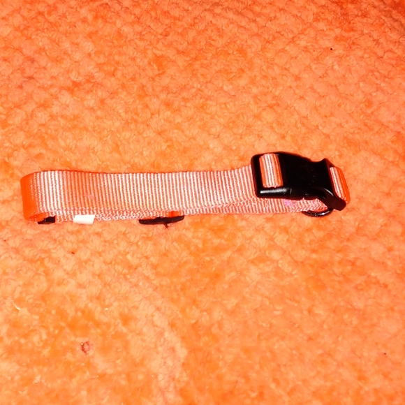 Large Coral gunmetal dog collar